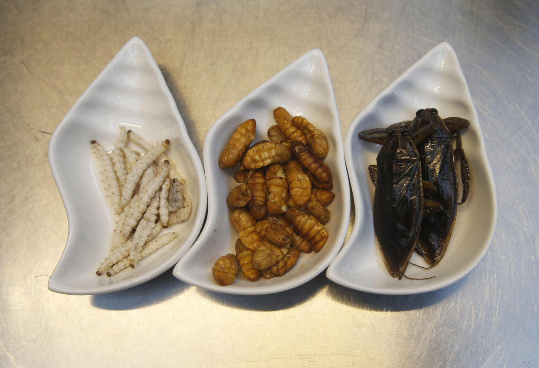 Thailand Bistro of Bugs